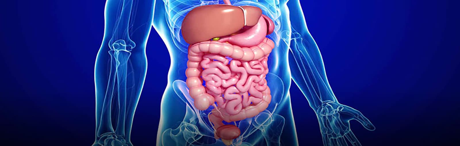 Gastroenterology Department