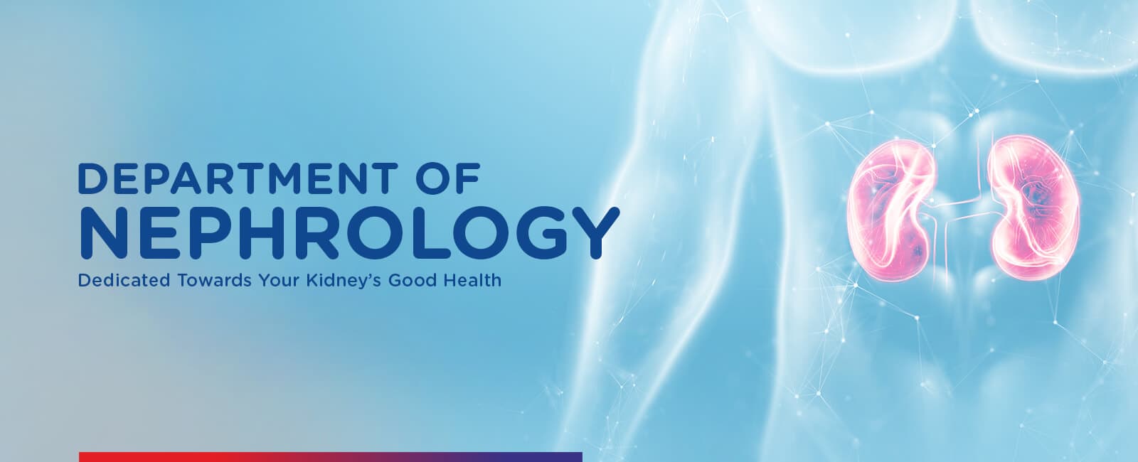 Nephrology Department