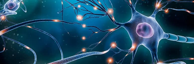 Neurology Department
