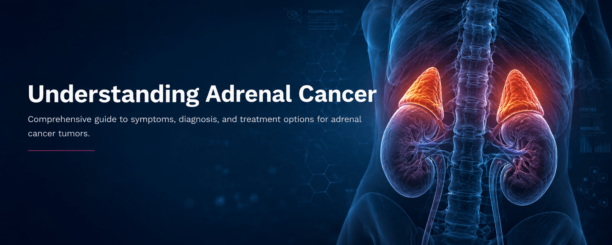 Adrenal Cancer Awareness
